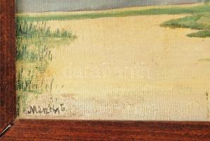 Mészöly G jelzéssel: Vízparti táj. Olaj, vászon. Fakeretben. 32x48 cm