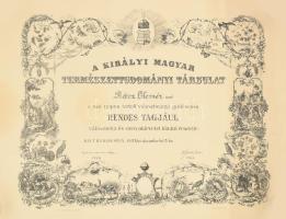 1937 Bp., a Kir. Magyar Természettudományi Társulat oklevele rendes taggá választásról Rácz Elemér részére, rajta Zimmermann Ágoston (1875-1963) Kossuth-díjas állatorvos, állatanatómus, az MTA tagja, a Természettudományi Társulat elnökének aláírásával, szárazpecséttel. Feltekerve, a lap szélén kisebb törésnyomokkal, gyűrődésekkel, 46x59 cm