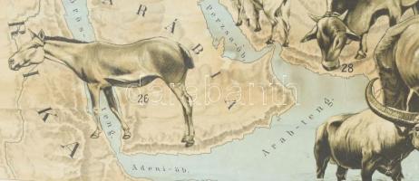 1926 Ázsia jellemzőbb gerinces állatai, tervezte: Baloghné Hajós Terézia, rajzolta: Bálint János. Te...