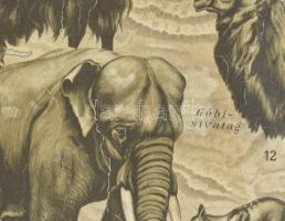 1926 Ázsia jellemzőbb gerinces állatai, tervezte: Baloghné Hajós Terézia, rajzolta: Bálint János. Te...