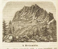 1858 [István Bácsi Naptára, vagyis családos házigazdáknak és gazdasszonyoknak, népnevelőknek, helysé...