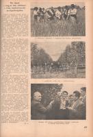 Új Idők. Társadalmi, szépirodalmi, művészeti és kritikai képes hetilap. Főszerkesztő: Fodor József. ...