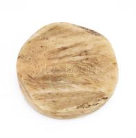 1691 Sigillum Paci Cocseiensis csont pecsétnyomó 28 mm