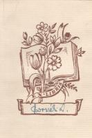 Széchenyi Zsigmond: Csui!... Afrikai vadásznapló (1928. okt. - 1929. ápr.)
Budapest, 1940. Vajna és...