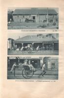 Széchenyi Zsigmond: Csui!... Afrikai vadásznapló (1928. okt. - 1929. ápr.)
Budapest, 1940. Vajna és...