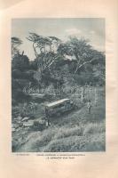 Széchenyi Zsigmond: Csui!... Afrikai vadásznapló (1928. okt. - 1929. ápr.)
Budapest, 1940. Vajna és...