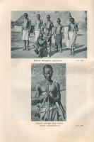 Széchenyi Zsigmond: Csui!... Afrikai vadásznapló (1928. okt. - 1929. ápr.)
Budapest, 1940. Vajna és...