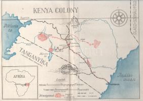 Széchenyi Zsigmond: Csui!... Afrikai vadásznapló (1928. okt. - 1929. ápr.)
Budapest, 1940. Vajna és...