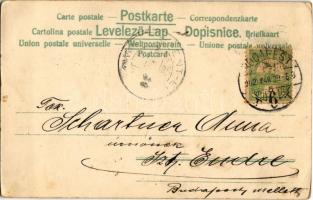 1902 Boldog húsvéti ünnepeket / Easter greeting art postcard with lady, chicken and eggs. litho (EK)