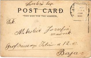 New York, Bird's-eye View of Surf Avenue, Coney Island (EB)