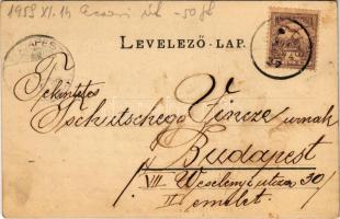 1901 Dés, Dej; M. kir. Törvényház, Piac a református templommal, Voith Gergely palotája, szálloda, M...