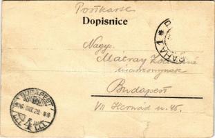 1906 Praha, Prag, Prague; Mestsky sad / park, tram (tears)