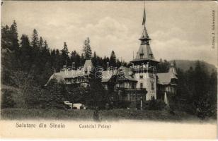 Sinaia, Castelul Pelesi / castle