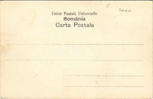 Sinaia, Castelul Pelesi / castle