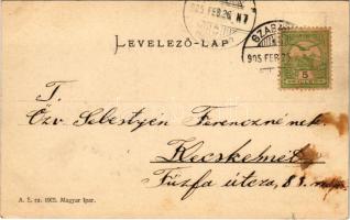 1905 Szabadka, Subotica; Látkép az Otthon kávéház felől, piac / view from the cafe, market (fl)