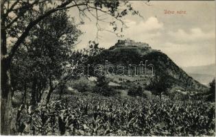Déva, vár. Kroll Gyula kiadása / castle ruins