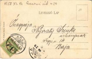 1906 Arad, Vörösmarty utca, Nemzeti színház, Vajda fogorvosi műterme, Színházi Verseny bazár, Limbec...