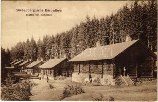 Bisztra, Bistra bei Mühlbach (Szászsebes, Sebes); Alsó telep. Jos. Drotleff kiadása / Untere Colonie / Colonia din jos / lower colony (fl)