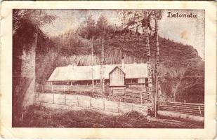 Bucsony, Bucium (Abrudbánya mellett / near Abrud); Detonáta hegy, menház / Detunata mountain, chalet, rest house / Detunata Flocoasa (gyűrődések / creases)