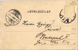 1902 Pozsony, Pressburg, Bratislava; Városháza. Divald Károly 445. sz. / town hall (ázott / wet dama...