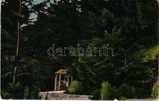 1918 Stubnyafürdő, Túróchévíz, Stubnianske Teplice, Turcianske Teplice; Erdő részlet. Stransky Jakab és veje kiadása / forest (EK)