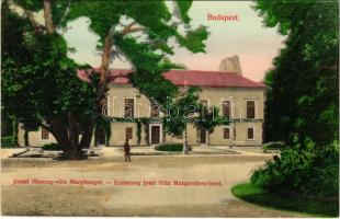 Budapest XIII. Margitsziget, József főherceg villa. Divald Károly 56-1907. (fl)