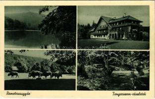 Remetevasgyár, Remetské Hámre; Tengerszem, kastély. Misley Lajos kiadása (Szobránc) / lake, castle (Rb)