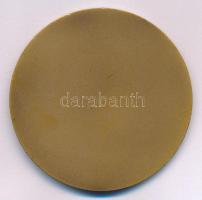 Szombathelyi László (1943-) 1968. "Verseghy Diáknapok Szolnok" egyoldalas bronz plakett (6...