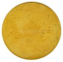 DN "Nemzetközi Tánc- és Kultúra Alapítvány" aranyozott bronz emlékérem, hátoldalán névre s...