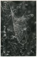 cca 1974 Zsigri Oszkár (1933-?) budapesti fotóművész hagyatékából feliratozott, vintage fotóművészeti alkotás (Hajnali díszben), ezüst zselatinos fotópapíron, 24x15,3 cm