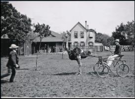 cca 1905 Struccfogat, 1 db modern nagyítás, jelzés nélkül, ,,Kankovszky's Hungarian Presse Photographic Exchange" sajtófotó ügynökség hagyatékából, 15x21 cm