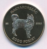 2022. 2000Ft Cu-Ni-Zn "Mudi" kapszulában T:P