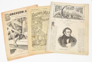 1879-1911 3 db régi újság: Képes Családi Lapok I. évf. 5. füzet, 1879. + Hasznos Mulattató 21. évf. 35. sz., 1893. aug. 27. + Borsszem Jankó XLIV. évf. (43.) 2289. sz., 1911. okt. 22. Változó állapotban.