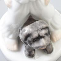 Herendi porcelán fiú kutyával, kézzel festett, hibátlan, jelzett, m: 15,5 cm