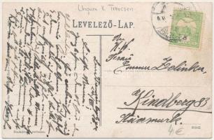 Trencsénteplic, Trencianske Teplice; Deák nyaraló. Wertheim Zsigmond kiadása / Villa (EK)