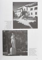 Balatonfüred és Balatonarács története. Szerk.: Lichtneckert András. Veszprém Megyei Levéltár kiadvá...