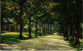 1925 Szliács-fürdő, Kúpele Sliac; fürdő park / spa park (EK)