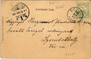 1905 Szliács-fürdő, Kúpele Sliac; Ivánszky Elek kiadása (EK)