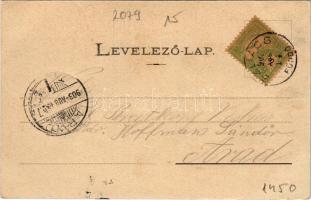 1903 Szliács, Sliac; Pest szálloda. Kerekes Miklós kiadása / hotel