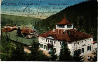 1918 Iglófüred, Bad Zipser Neudorf, Spisská Nová Ves Kupele, Novovesské Kúpele; Tulipán ház és vendéglő. Ferencz D. kiadása / villa and restaurant (EK)