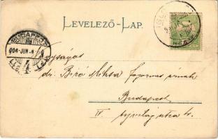 1906 Iglófüred, Bad Zipser Neudorf, Spisská Nová Ves Kupele, Novovesské Kúpele; Millenium szálló. Wl...