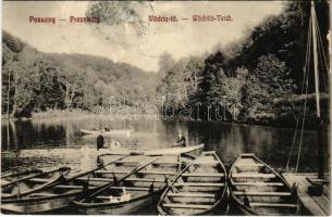 1911 Pozsony, Pressburg, Bratislava; Vaskutacska, Vödric tó / Eisenbrünnel (Eisenbründl) / Zelezná Studienka / lake (felszíni sérülés / surface damage)