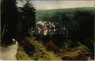 Stószfürdő, Stoósz-fürdő, Kúpele Stós; Pohled z dialky z "Cesty rusalek" / út, fürdő látképe / road, spa, bath, general view (EK)