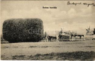 1906 Balaton, Szénahordás ökrös szekérrel, magyar folklór. Ellinger Ede kiadása (EK)