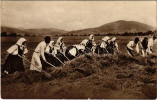 Szénagyűjtés / Hay making, Hungarian folklore. Photo Erdélyi (fa)