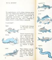 V. Deák Éva: Felfedezem a Balatont. Szecskó Tamás rajzaival. Bp., 1979, Móra. Kiadói kartonált papír...