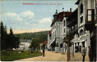 Bártfafürdő, Bardejovské Kúpele, Bardiov, Bardejov; Erzsébet és Deák szálloda, kávéház. Deutsch Dezső kiadása / hotels, cafe (fl)