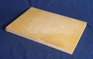 Bolond Miska. [Képes élclap.] Megjelenik minden vasárnap. Felelős szerkesztő Tóth Kálmán. Rajzolja J...