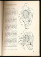 Dr. Fehér György: Állatpreparátumok készítése. Bp., 1975, Mezőgazdasági, 259 p. Harmadik kiadás. Fek...