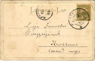 1904 Bártfafürdő, Bardejovské Kúpele, Bardiov, Bardejov; Felső úri utca. Eschwig Ede F. kiadása, Haj...